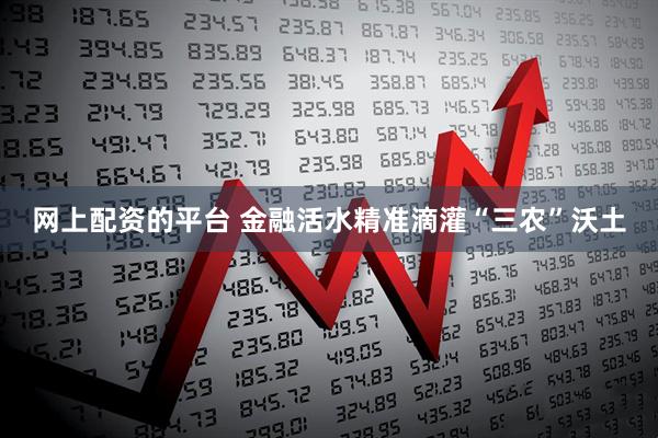 网上配资的平台 金融活水精准滴灌“三农”沃土