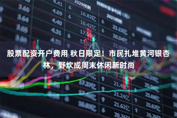 股票配资开户费用 秋日限定!市民扎堆黄河银杏林,野炊成周末休闲新时尚